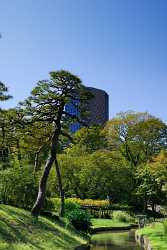 Tokyo Korakuen Park Down Town Autumn Viewpoint Panorama Stock Photos Stock Image Cloud - 013599 - 27-10-2013 - 4613x8514 Pixel Tokyo Korakuen Park Down Town Autumn Viewpoint Panorama Stock Photos Stock Image Cloud Modern Wall Art Art Prints Shoreline Landscape Photography Tree Western...