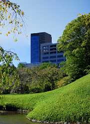 Tokyo Korakuen Park Down Town Autumn Viewpoint Panorama View Point Art Photography Gallery - 013601 - 27-10-2013 - 4759x6570 Pixel Tokyo Korakuen Park Down Town Autumn Viewpoint Panorama View Point Art Photography Gallery Art Prints For Sale Fine Art Photo Fine Art Foto Sky Landscape Rock...