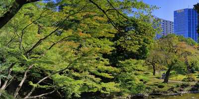 Tokyo Korakuen Park Down Town Autumn Viewpoint Panorama Fine Art Photography Prints For Sale - 013613 - 27-10-2013 - 14515x4672 Pixel Tokyo Korakuen Park Down Town Autumn Viewpoint Panorama Fine Art Photography Prints For Sale Art Prints For Sale Landscape Leave Fine Art Printer Animal Fine...