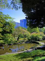 Tokyo Korakuen Park Down Town Autumn Viewpoint Panorama Images Fine Art Foto Fine Arts Photography - 013614 - 27-10-2013 - 4725x6447 Pixel Tokyo Korakuen Park Down Town Autumn Viewpoint Panorama Images Fine Art Foto Fine Arts Photography Shoreline Spring Modern Wall Art View Point Landscape Stock...