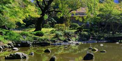 Tokyo Korakuen Park Down Town Autumn Viewpoint Panorama Rain Royalty Free Stock Images - 013619 - 27-10-2013 - 15151x4367 Pixel Tokyo Korakuen Park Down Town Autumn Viewpoint Panorama Rain Royalty Free Stock Images Fine Art Photography Galleries Fine Arts Photography Pass Stock Photos...