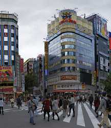 Tokyo Shinjuku Down Town City Viewpoint Panorama Photo Tree Fine Art Landscapes - 013886 - 22-10-2013 - 6804x7824 Pixel Tokyo Shinjuku Down Town City Viewpoint Panorama Photo Tree Fine Art Landscapes Art Photography For Sale Fine Art Photographers Fog Fine Arts Photography Fine...