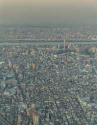 Skytree Tokyo City View Twilight Sky Tower Attraction Stock Images Ice Forest Fine Art Photo - 024090 - 23-05-2016 - 7669x9870 Pixel Skytree Tokyo City View Twilight Sky Tower Attraction Stock Images Ice Forest Fine Art Photo Fine Art Photos Royalty Free Stock Images Fine Arts Leave Hi...
