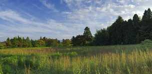 Gotemba Gotemba - Panoramic - Landscape - Photography - Photo - Print - Nature - Stock Photos - Images - Fine Art Prints - Sale...