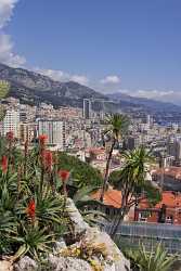 Monte Carlo Monaco Jardin Exotique Pflanzen Panorama Aussicht Sky Fine Art Color Fine Art Posters - 005810 - 18-04-2010 - 4217x7489 Pixel Monte Carlo Monaco Jardin Exotique Pflanzen Panorama Aussicht Sky Fine Art Color Fine Art Posters Coast Royalty Free Stock Photos Park Fine Art Nature...