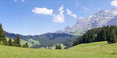 Saentis Tree Stock Pictures Summer Lake Mountain Ice What Is Fine Art Photography - 001111 - 19-05-2007 - 10600x4083 Pixel Saentis Tree Stock Pictures Summer Lake Mountain Ice What Is Fine Art Photography Fine Art Photography Galleries Fine Art Landscape Photography Fine Art...