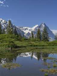 Antseeuwen Grosse Scheidegg Grindelwald Eiger Moench Jungfrau Flower View Point - 021541 - 13-06-2017 - 7482x9890 Pixel Antseeuwen Grosse Scheidegg Grindelwald Eiger Moench Jungfrau Flower View Point Royalty Free Stock Photos Fine Art Fotografie Modern Art Print Coast Fine Art...