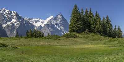 Antseeuwen Grosse Scheidegg Grindelwald Eiger Moench Jungfrau Flower Fine Art Landscapes Rain - 021547 - 13-06-2017 - 23512x7516 Pixel Antseeuwen Grosse Scheidegg Grindelwald Eiger Moench Jungfrau Flower Fine Art Landscapes Rain Famous Fine Art Photographers Fine Art Photography Prints Art...