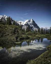 Antseeuwen Grosse Scheidegg Grindelwald Wetterhorn Eiger Moench Jungfrau Photo Fine Art City - 021655 - 11-06-2017 - 7319x9062 Pixel Antseeuwen Grosse Scheidegg Grindelwald Wetterhorn Eiger Moench Jungfrau Photo Fine Art City What Is Fine Art Photography Stock Island Fine Art Photographers...