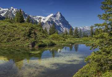 Antseeuwen Grosse Scheidegg Grindelwald Wetterhorn Eiger Moench Jungfrau Fine Art America - 021656 - 11-06-2017 - 12034x8320 Pixel Antseeuwen Grosse Scheidegg Grindelwald Wetterhorn Eiger Moench Jungfrau Fine Art America Fine Art Photography Gallery Park Sale Winter River Shore Photo Fine...