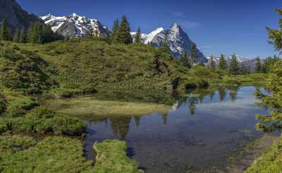 Antseeuwen Grosse Scheidegg Grindelwald Wetterhorn Eiger Moench Jungfrau Color Nature - 021661 - 11-06-2017 - 12372x7608 Pixel Antseeuwen Grosse Scheidegg Grindelwald Wetterhorn Eiger Moench Jungfrau Color Nature Art Photography For Sale Fine Art Giclee Printing Snow Fine Art Printer...