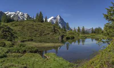 Antseeuwen Grosse Scheidegg Grindelwald Wetterhorn Eiger Moench Jungfrau Stock Images - 021662 - 11-06-2017 - 12484x7499 Pixel Antseeuwen Grosse Scheidegg Grindelwald Wetterhorn Eiger Moench Jungfrau Stock Images Fine Art Photos Cloud Fine Art Photography Prints Flower Fine Art...