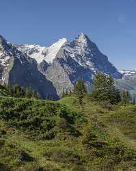 Antseeuwen Grosse Scheidegg Grindelwald Wetterhorn Eiger Moench Jungfrau Fine Art Posters Pass - 021665 - 11-06-2017 - 7394x9291 Pixel Antseeuwen Grosse Scheidegg Grindelwald Wetterhorn Eiger Moench Jungfrau Fine Art Posters Pass Autumn Art Prints Forest Stock Lake Fine Art Giclee Printing Rock...