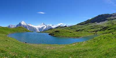 Grindelwald Bachalpsee Snow Beach Fine Art Foto Panoramic Prints For Sale Royalty Free Stock Photos - 001842 - 16-07-2007 - 9028x4257 Pixel Grindelwald Bachalpsee Snow Beach Fine Art Foto Panoramic Prints For Sale Royalty Free Stock Photos Photography Prints For Sale Tree Hi Resolution Art...