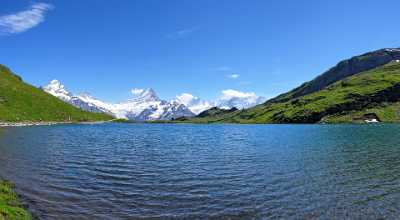 Grindelwald Bachalpsee Mountain Stock Pictures Animal Outlook Cloud Royalty Free Stock Images - 001850 - 16-07-2007 - 5990x3299 Pixel Grindelwald Bachalpsee Mountain Stock Pictures Animal Outlook Cloud Royalty Free Stock Images Fine Art Foto Fine Art Photos Senic Order Modern Art Prints Fine...