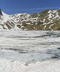 Bachalpsee Grindelwald Wetterhorn Eiger Moench Jungfrau Flower Alps Fine Art Photo Mountain Prints - 021620 - 11-06-2017 - 7376x8829 Pixel Bachalpsee Grindelwald Wetterhorn Eiger Moench Jungfrau Flower Alps Fine Art Photo Mountain Prints Fine Art Landscape Photo Fine Art Tree Landscape Photography...