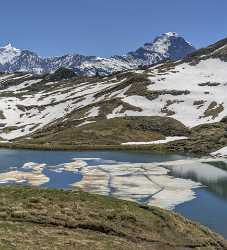 Bachalpsee Grindelwald Wetterhorn Eiger Moench Jungfrau Flower Alps Fine Art Giclee Printing - 021621 - 11-06-2017 - 7687x8482 Pixel Bachalpsee Grindelwald Wetterhorn Eiger Moench Jungfrau Flower Alps Fine Art Giclee Printing Fine Art Printer Fine Art Foto Art Prints Outlook Shore Creek Beach...