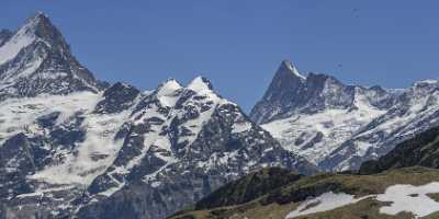 Bachalpsee Grindelwald Wetterhorn Eiger Moench Jungfrau Flower Alps Hi Resolution Fine Art Printing - 021731 - 11-06-2017 - 35650x7821 Pixel Bachalpsee Grindelwald Wetterhorn Eiger Moench Jungfrau Flower Alps Hi Resolution Fine Art Printing Park Famous Fine Art Photographers Image Stock Fine Art Foto...