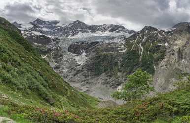 Baeregg Grindelwald Glacier Flower Snow Alps Panoramic Viepoint Fine Art Foto Landscape Pass - 021451 - 14-06-2017 - 10314x6681 Pixel Baeregg Grindelwald Glacier Flower Snow Alps Panoramic Viepoint Fine Art Foto Landscape Pass Fine Arts Photography Fine Art Nature Photography Fine Art...