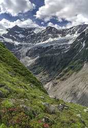 Baeregg Grindelwald Glacier Flower Snow Alps Panoramic Viepoint Prints For Sale Art Prints For Sale - 021462 - 14-06-2017 - 7159x10387 Pixel Baeregg Grindelwald Glacier Flower Snow Alps Panoramic Viepoint Prints For Sale Art Prints For Sale Famous Fine Art Photographers Nature Fog Modern Wall Art...