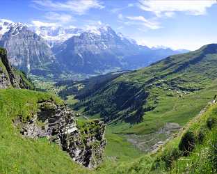 Grindelwald First Wetterhorn Eiger Photography Prints For Sale Sale Animal Images Prints For Sale - 001859 - 16-07-2007 - 6107x4897 Pixel Grindelwald First Wetterhorn Eiger Photography Prints For Sale Sale Animal Images Prints For Sale Famous Fine Art Photographers Landscape Tree Fine Art...