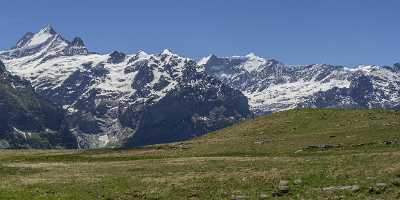 First Grindelwald Wetterhorn Eiger Moench Jungfrau Flower Alps Fine Art Art Photography Gallery - 021630 - 11-06-2017 - 21560x7336 Pixel First Grindelwald Wetterhorn Eiger Moench Jungfrau Flower Alps Fine Art Art Photography Gallery Snow Lake Fine Art Prints Stock Image Landscape Modern Art...