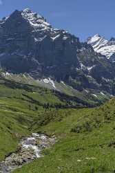 First Grindelwald Wetterhorn Eiger Moench Jungfrau Flower Alps Sea Fine Art America Color - 021632 - 11-06-2017 - 7379x12203 Pixel First Grindelwald Wetterhorn Eiger Moench Jungfrau Flower Alps Sea Fine Art America Color Fine Art Photo Beach Fine Art Giclee Printing Famous Fine Art...