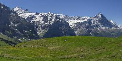 First Grindelwald Wetterhorn Eiger Moench Jungfrau Flower Alps Prints Grass Creek Town Color Shore - 021633 - 11-06-2017 - 13886x6908 Pixel First Grindelwald Wetterhorn Eiger Moench Jungfrau Flower Alps Prints Grass Creek Town Color Shore Art Photography For Sale Outlook Images Fine Art Photography...