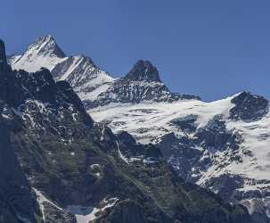 First Grindelwald Wetterhorn Eiger Moench Jungfrau Flower Alps Fine Art Photography Galleries - 021635 - 11-06-2017 - 12917x10673 Pixel First Grindelwald Wetterhorn Eiger Moench Jungfrau Flower Alps Fine Art Photography Galleries Island Stock Image Fine Art Fine Art America Fine Art Pictures...