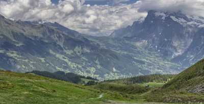 Maenlichen Grindelwald Wetterhorn Eiger Moench Jungfrau Flower Alps Fine Art Photographer - 021579 - 12-06-2017 - 14346x7356 Pixel Maenlichen Grindelwald Wetterhorn Eiger Moench Jungfrau Flower Alps Fine Art Photographer Fine Art Fotografie Art Photography Gallery Fine Art Printer Grass...