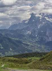 Maenlichen Grindelwald Wetterhorn Eiger Moench Jungfrau Flower Alps Hi Resolution Shore Cloud - 021580 - 12-06-2017 - 7350x10067 Pixel Maenlichen Grindelwald Wetterhorn Eiger Moench Jungfrau Flower Alps Hi Resolution Shore Cloud Fine Arts Photography Fine Art Photographers Fine Art Photos...