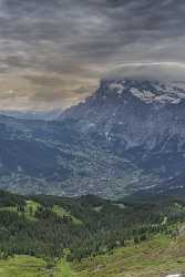 Maenlichen Grindelwald Wetterhorn Eiger Moench Jungfrau Flower Alps Town Royalty Free Stock Images - 021588 - 12-06-2017 - 7697x12646 Pixel Maenlichen Grindelwald Wetterhorn Eiger Moench Jungfrau Flower Alps Town Royalty Free Stock Images Prints For Sale Coast Western Art Prints For Sale Images Rain...