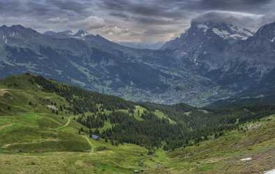 Maenlichen Grindelwald Wetterhorn Eiger Moench Jungfrau Flower Alps Fine Art Landscape - 021589 - 12-06-2017 - 16082x10189 Pixel Maenlichen Grindelwald Wetterhorn Eiger Moench Jungfrau Flower Alps Fine Art Landscape Fine Art Photography For Sale Hi Resolution Fine Art Creek Tree Sunshine...