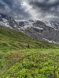 Kleine Scheidegg Grindelwald Wetterhorn Eiger Moench Jungfrau Flower Modern Wall Art Panoramic Barn - 021596 - 12-06-2017 - 6733x8958 Pixel Kleine Scheidegg Grindelwald Wetterhorn Eiger Moench Jungfrau Flower Modern Wall Art Panoramic Barn View Point Sale Fine Art Pictures Animal Shoreline City Fine...