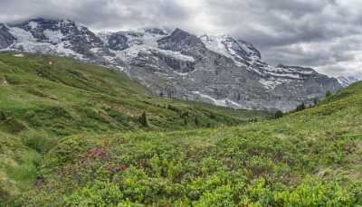 Kleine Scheidegg Grindelwald Wetterhorn Eiger Moench Jungfrau Flower Lake Art Printing Sunshine - 021597 - 12-06-2017 - 11746x6738 Pixel Kleine Scheidegg Grindelwald Wetterhorn Eiger Moench Jungfrau Flower Lake Art Printing Sunshine River Fine Art America Pass Fine Art Fine Arts Photography...