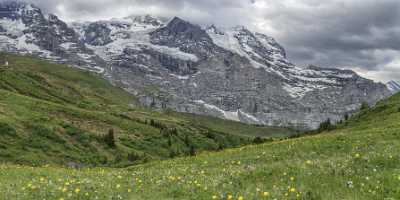 Kleine Scheidegg Grindelwald Wetterhorn Eiger Moench Jungfrau Flower Town Lake Photo Winter - 021598 - 12-06-2017 - 15473x7209 Pixel Kleine Scheidegg Grindelwald Wetterhorn Eiger Moench Jungfrau Flower Town Lake Photo Winter Fine Art Printing Western Art Prints For Sale Island Sunshine Fine...