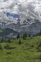 Guetschalp Lauterbrunnen Bern Flower Snow Alps Panoramic Viepoint Fine Art Photography For Sale - 021388 - 15-06-2017 - 7520x14034 Pixel Guetschalp Lauterbrunnen Bern Flower Snow Alps Panoramic Viepoint Fine Art Photography For Sale Winter Fine Art Landscape Senic Grass Barn Order Sunshine...