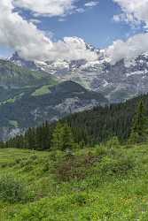 Guetschalp Lauterbrunnen Bern Flower Snow Alps Panoramic Viepoint Fine Art Pictures Art Prints - 021390 - 15-06-2017 - 7220x11670 Pixel Guetschalp Lauterbrunnen Bern Flower Snow Alps Panoramic Viepoint Fine Art Pictures Art Prints Fine Art Photos Fine Arts Town Coast Hi Resolution Fine Art...