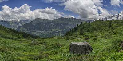 Guetschalp Lauterbrunnen Bern Flower Snow Alps Panoramic Viepoint Fine Art Giclee Printing Nature - 021393 - 15-06-2017 - 17568x7026 Pixel Guetschalp Lauterbrunnen Bern Flower Snow Alps Panoramic Viepoint Fine Art Giclee Printing Nature Stock Art Photography Gallery Order Fine Art Photographers...