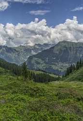 Guetschalp Lauterbrunnen Bern Flower Snow Alps Panoramic Viepoint Nature Fine Art Rain Beach - 021394 - 15-06-2017 - 7388x10768 Pixel Guetschalp Lauterbrunnen Bern Flower Snow Alps Panoramic Viepoint Nature Fine Art Rain Beach Fine Art Photography For Sale Image Stock View Point Color Winter...