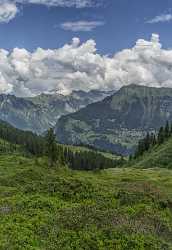 Guetschalp Lauterbrunnen Bern Flower Snow Alps Panoramic Viepoint Nature Fine Art Rain Beach - 021394 - 15-06-2017 - 7388x10768 Pixel Guetschalp Lauterbrunnen Bern Flower Snow Alps Panoramic Viepoint Nature Fine Art Rain Beach Fine Art Photography For Sale Image Stock View Point Color Winter...