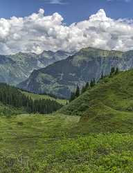 Guetschalp Lauterbrunnen Bern Flower Snow Alps Panoramic Viepoint Modern Art Prints - 021395 - 15-06-2017 - 7336x9557 Pixel Guetschalp Lauterbrunnen Bern Flower Snow Alps Panoramic Viepoint Modern Art Prints Art Prints For Sale Images Royalty Free Stock Images Hi Resolution Fine Arts...