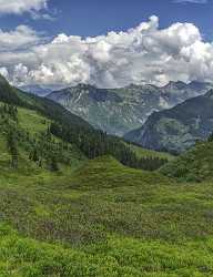 Guetschalp Lauterbrunnen Bern Flower Snow Alps Panoramic Viepoint Fine Art Print Color - 021396 - 15-06-2017 - 7239x9447 Pixel Guetschalp Lauterbrunnen Bern Flower Snow Alps Panoramic Viepoint Fine Art Print Color Fine Art Pictures Stock Images Modern Art Print Stock Photos Image Stock...