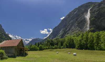 Lauterbrunnen Staubbachfall Wasserfall Waterfall Grass Barn Jungfrau Flower Landscape Photography - 021671 - 10-06-2017 - 15675x9239 Pixel Lauterbrunnen Staubbachfall Wasserfall Waterfall Grass Barn Jungfrau Flower Landscape Photography Animal Sale Winter Fine Arts Photography Beach Fine Art...