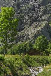 Lauterbrunnen Staubbachfall Wasserfall Waterfall Grass Barn Jungfrau Flower - 021674 - 10-06-2017 - 7407x10934 Pixel Lauterbrunnen Staubbachfall Wasserfall Waterfall Grass Barn Jungfrau Flower What Is Fine Art Photography Fine Art Photography Prints For Sale Fine Art...