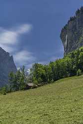 Lauterbrunnen Staubbachfall Wasserfall Waterfall Grass Barn Jungfrau Flower - 021684 - 10-06-2017 - 7592x11539 Pixel Lauterbrunnen Staubbachfall Wasserfall Waterfall Grass Barn Jungfrau Flower Fine Art Photography Gallery Fine Arts Image Stock Royalty Free Stock Images Forest...