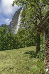 Lauterbrunnen Staubbachfall Wasserfall Waterfall Grass Barn Jungfrau Flower - 021690 - 10-06-2017 - 6770x10144 Pixel Lauterbrunnen Staubbachfall Wasserfall Waterfall Grass Barn Jungfrau Flower Photography Prints For Sale Modern Wall Art Fine Art Photography Gallery Shore Stock...