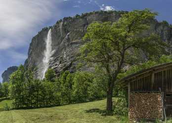 Lauterbrunnen Staubbachfall Wasserfall Waterfall Grass Barn Jungfrau Flower Tree - 021692 - 10-06-2017 - 11512x8276 Pixel Lauterbrunnen Staubbachfall Wasserfall Waterfall Grass Barn Jungfrau Flower Tree Fine Art Photography Gallery Landscape Leave Fine Art Order Beach Fine Art Foto...