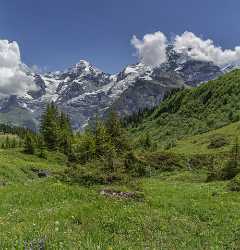 Almendhubel Muerren Eiger Moench Jungfrau Flower Snow Alps Image Stock Fine Arts Fine Art - 021407 - 15-06-2017 - 9622x10031 Pixel Almendhubel Muerren Eiger Moench Jungfrau Flower Snow Alps Image Stock Fine Arts Fine Art Art Printing Art Prints Leave Country Road Art Photography Gallery...