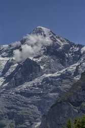 Almendhubel Muerren Eiger Moench Jungfrau Flower Snow Alps Royalty Free Stock Images Pass - 021413 - 15-06-2017 - 7781x13921 Pixel Almendhubel Muerren Eiger Moench Jungfrau Flower Snow Alps Royalty Free Stock Images Pass Art Prints For Sale Art Prints Animal Senic Fine Art Photography...